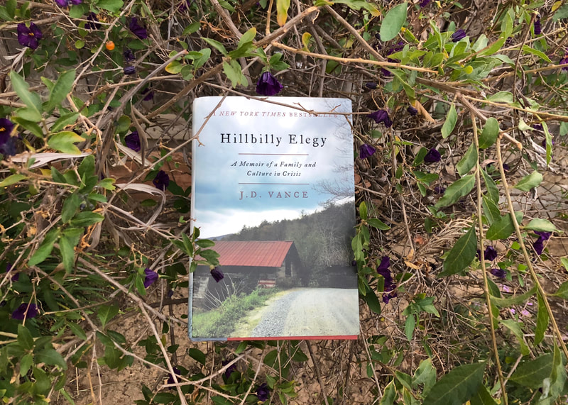 'Hillbilly Elegy' depots new perspective on the white working class